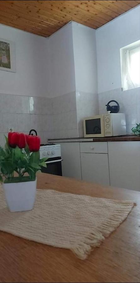 Kekturas-Tora Nyilo Badacsonyi Privat Berlemeny Apartment Badacsonytomaj Exterior photo