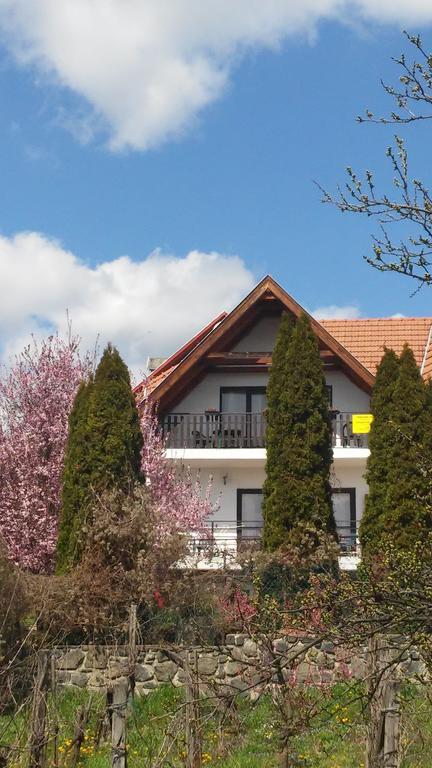 Kekturas-Tora Nyilo Badacsonyi Privat Berlemeny Apartment Badacsonytomaj Exterior photo